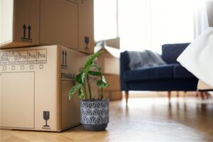 House Removal Timeline